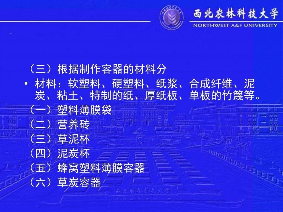 容器育苗的方式方法课件_第5页