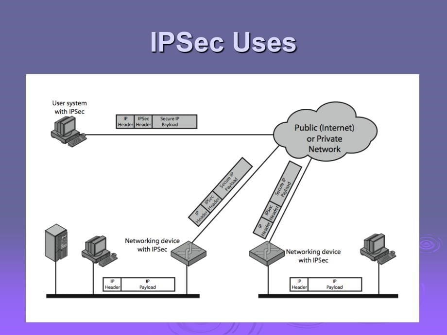 ch16-IP-Security_第5页