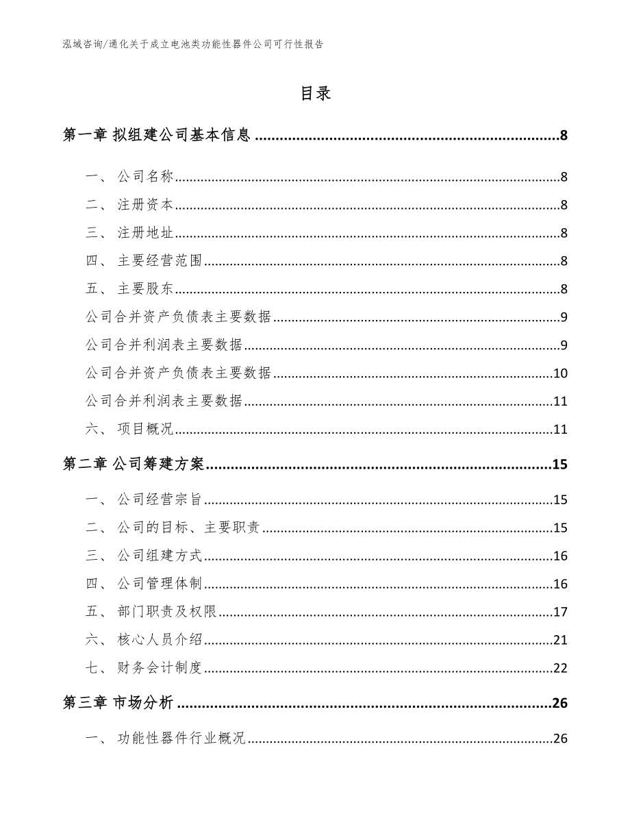 通化关于成立电池类功能性器件公司可行性报告（范文参考）_第2页