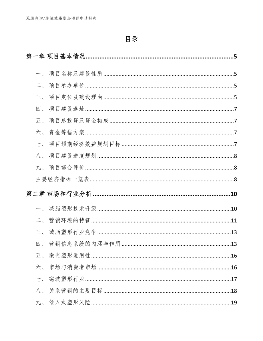 聊城减脂塑形项目申请报告_第1页