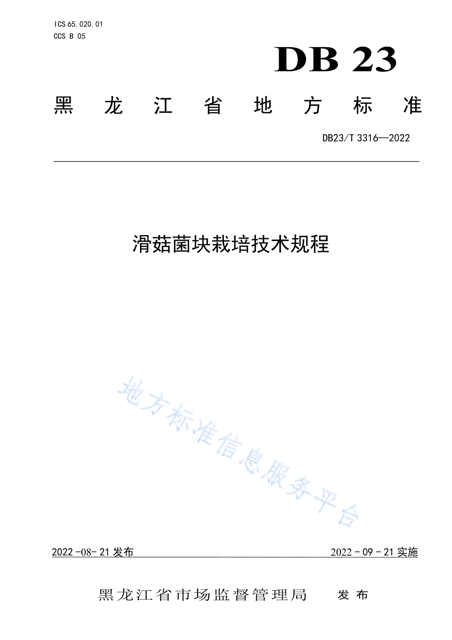 DB23_T 3316—2022滑菇菌块栽培技术规程_第1页