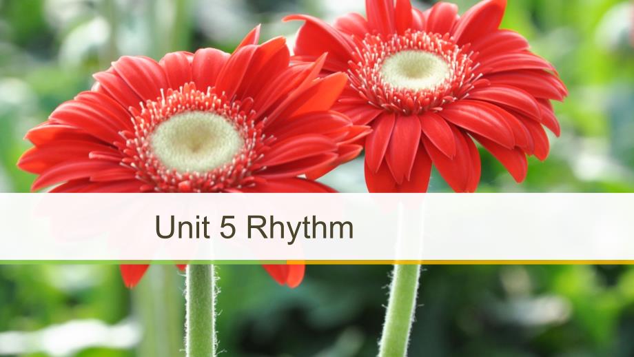 高中英语 Unit 5 Rhythm Period Four Lesson 4 Let’s Dance课件 北师大版必修2_第1页