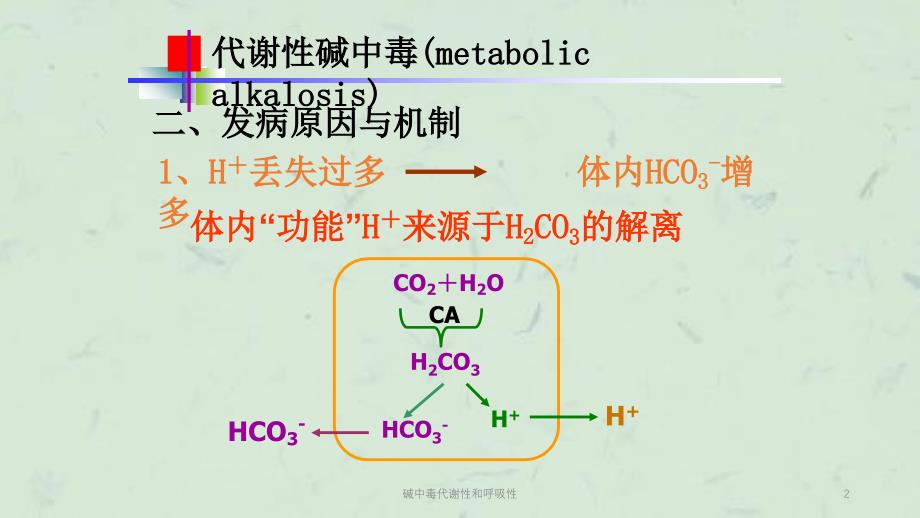 碱中毒代谢性和呼吸性课件_第2页