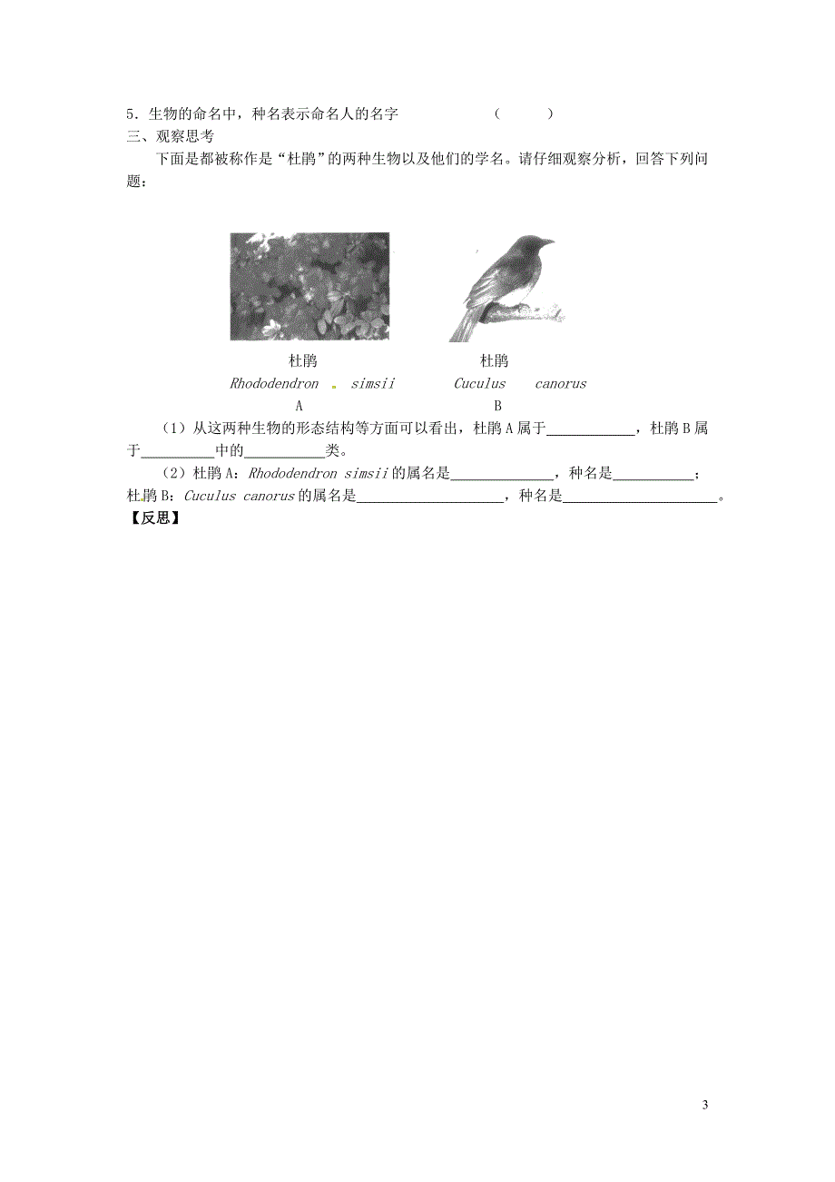 江苏省铜山区清华中学七年级生物下册 第14章 第1节 生物的命名和分类学案1（无答案） 苏科版_第3页