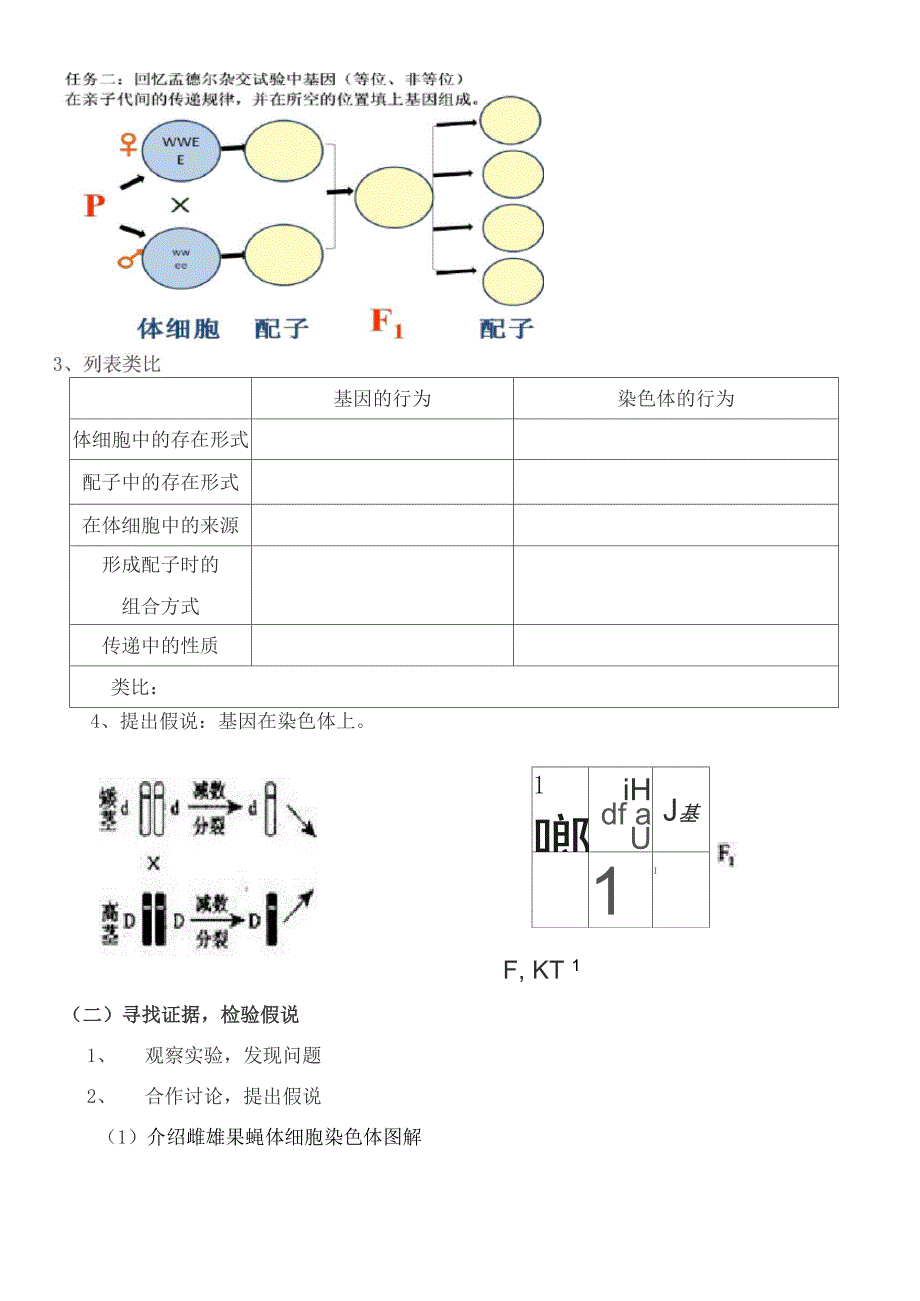 基因在染色体上说课稿_第3页