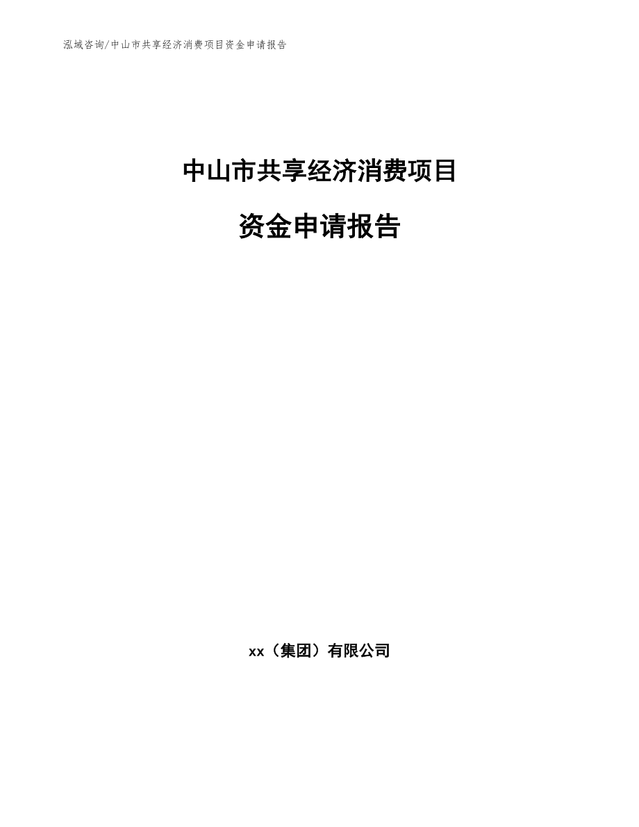 中山市共享经济消费项目资金申请报告_第1页