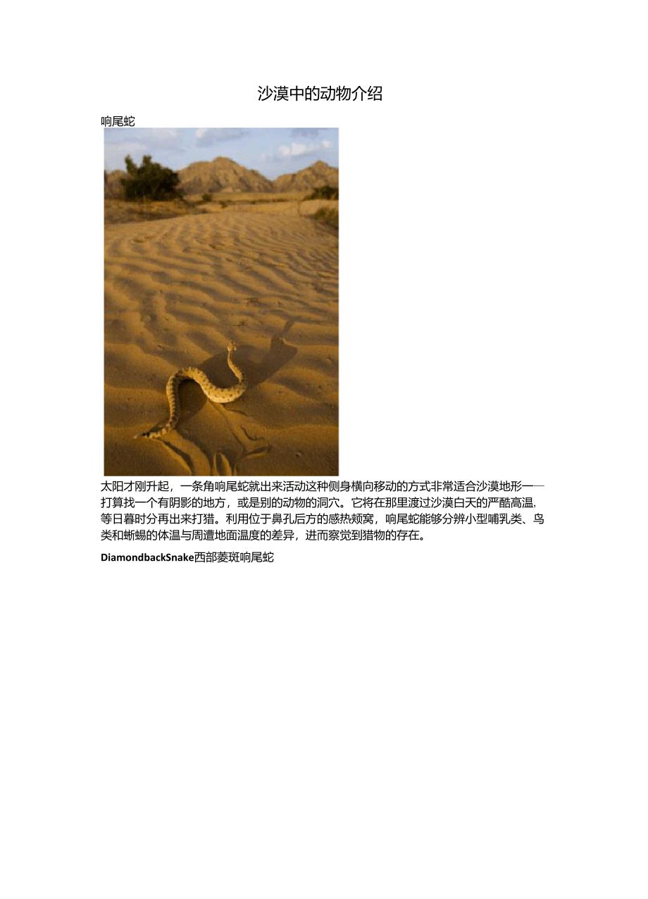 沙漠中的动物介绍_第1页