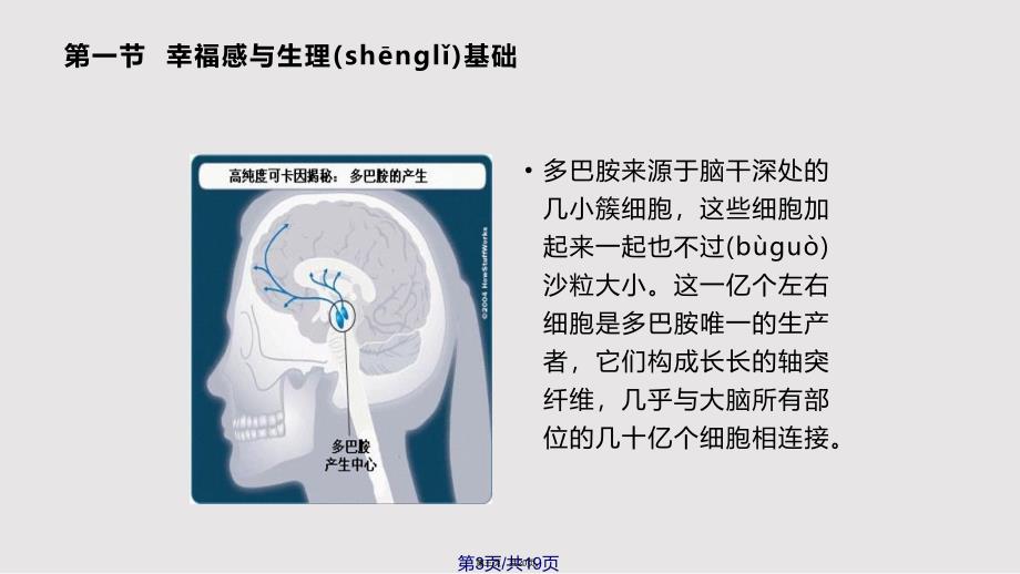 幸福心理学实用教案_第3页