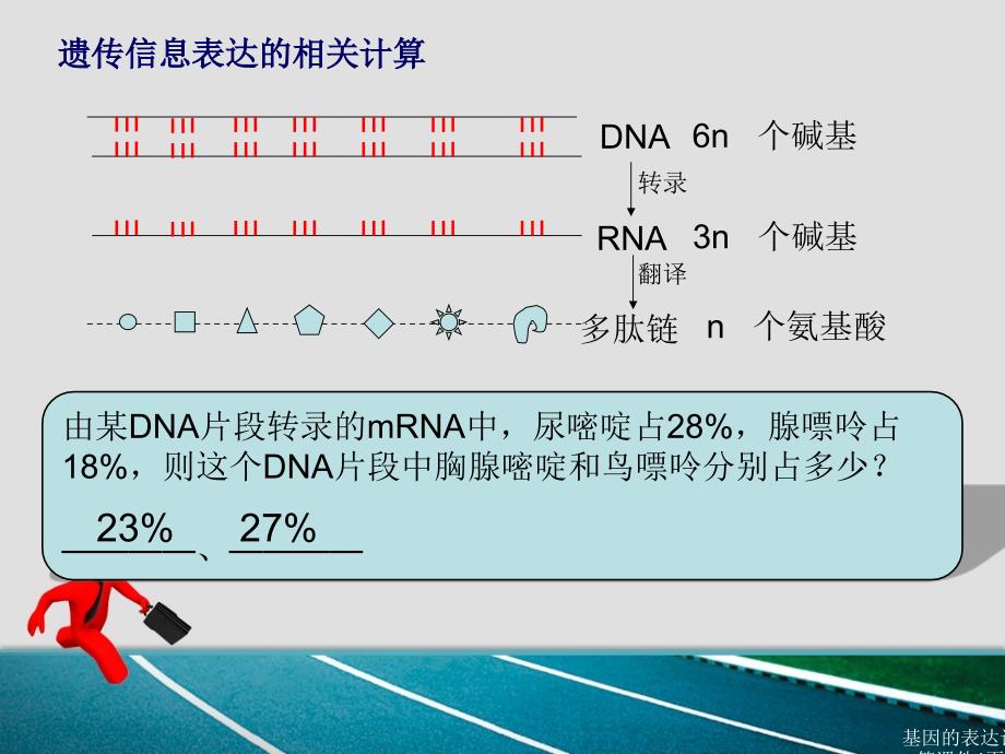 基因的表达计算课件_第1页