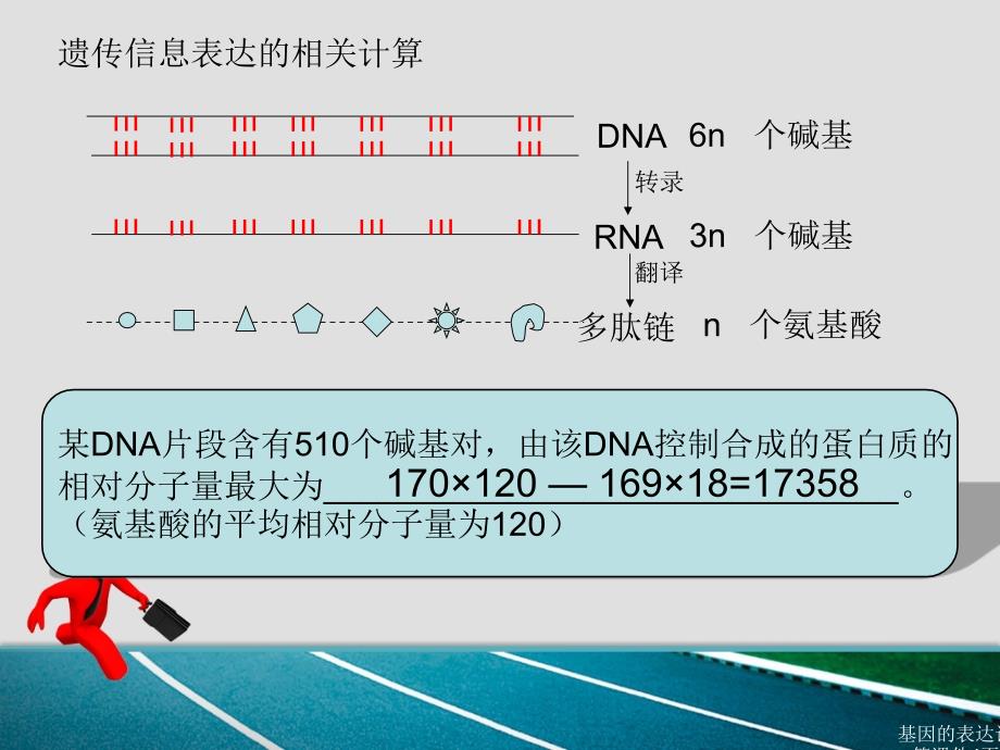 基因的表达计算课件_第4页