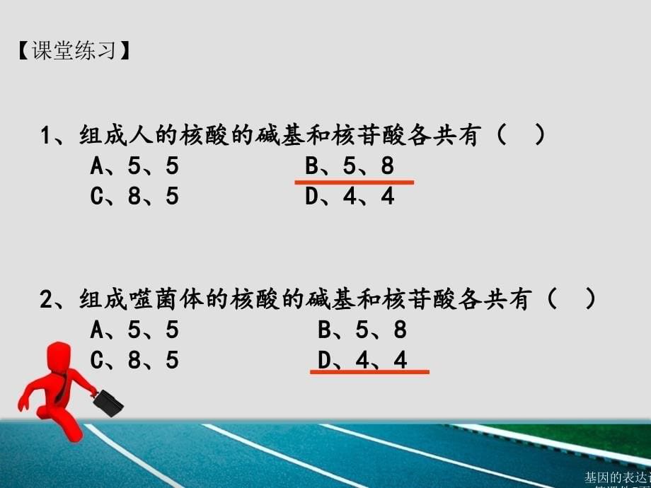 基因的表达计算课件_第5页