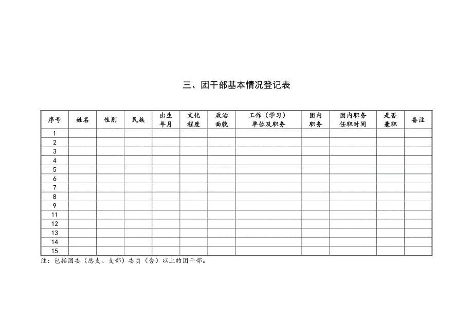 共青团台账汇编(含21个表格)_第5页