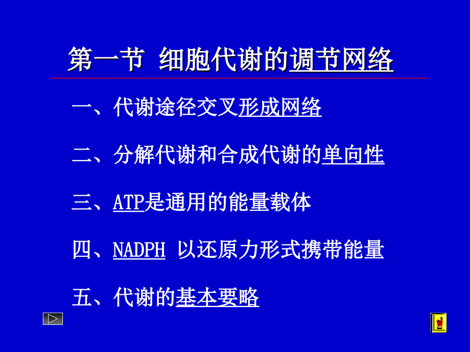 1012MetabolismRegulation2_第2页