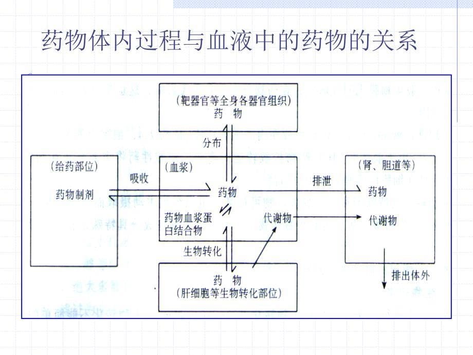 3治疗药物监测与给药方案-吴_第5页