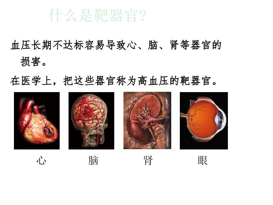 心脑血管疾病精品讲座 山东大学附属济南市中心医院_第4页