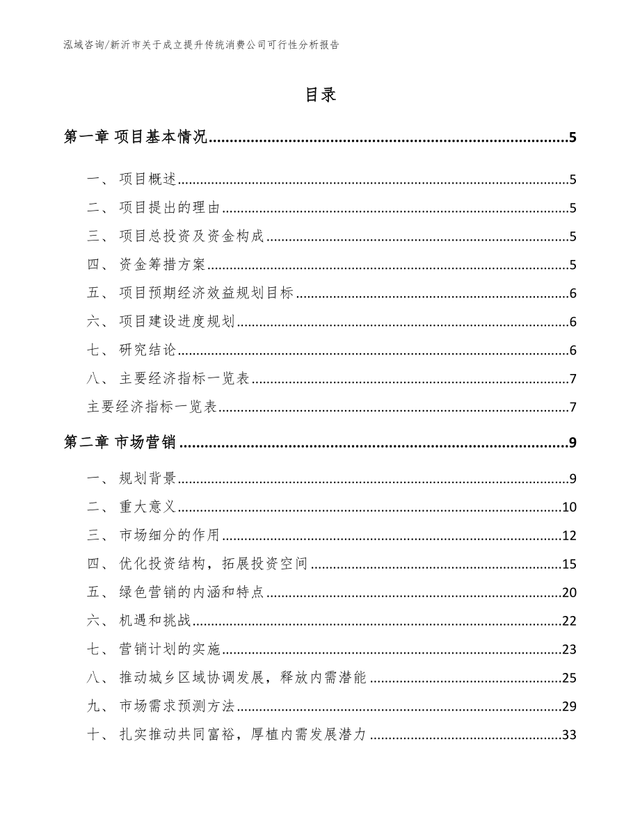 新沂市关于成立提升传统消费公司可行性分析报告_第1页