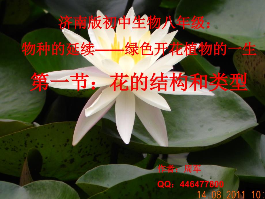 花的结构与类型_第1页