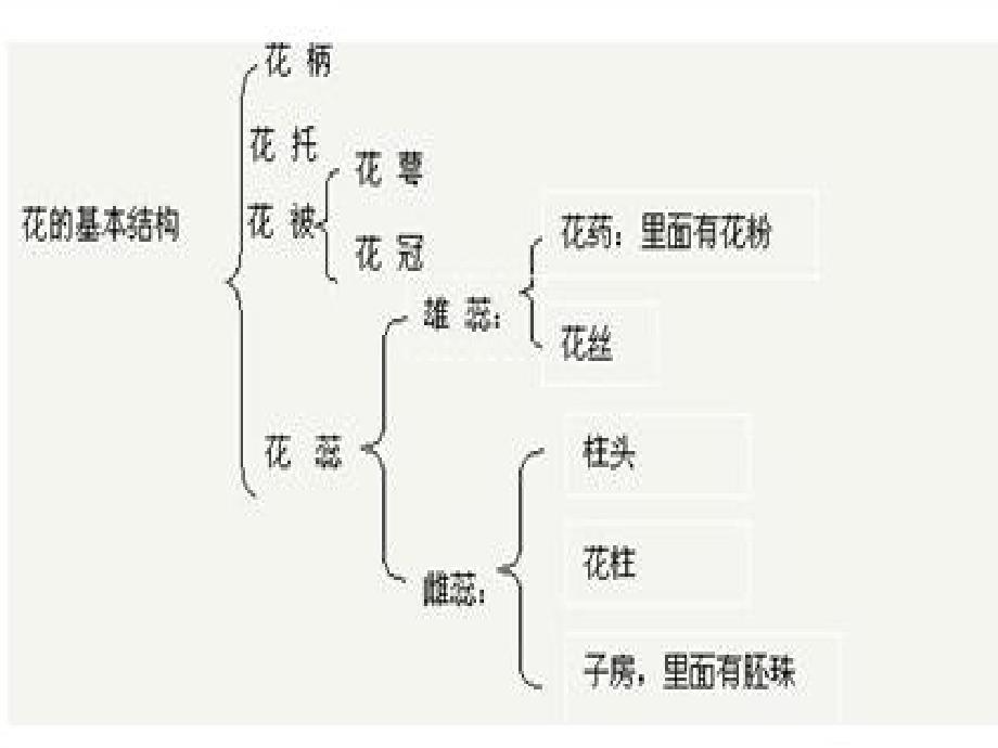 花的结构与类型_第4页