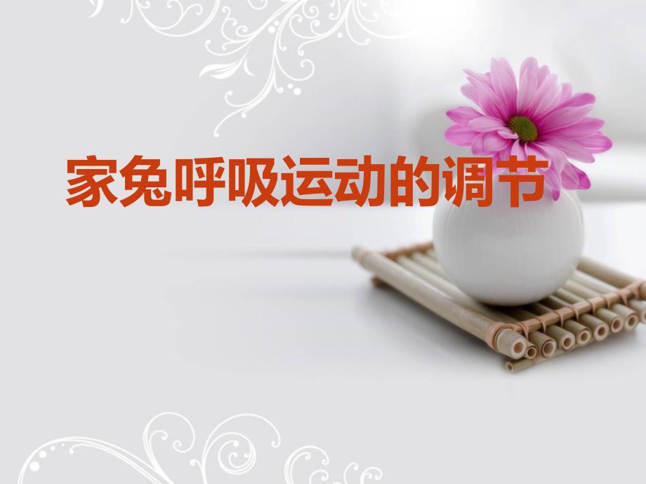 家兔呼吸运动.ppt_第1页