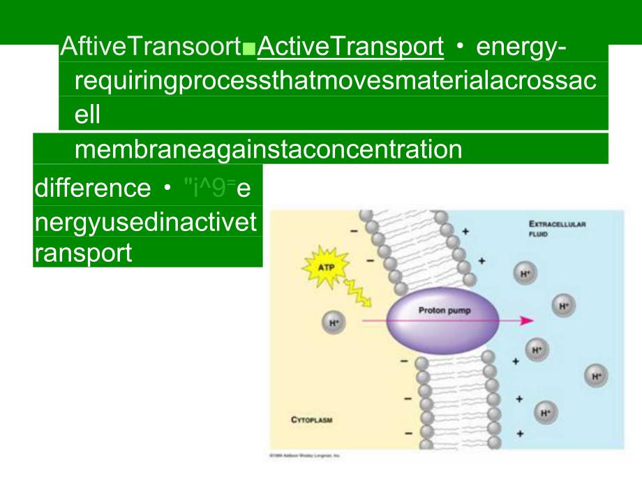 2019年最新-FacilitatedDiffusionandActiveTransport：易化扩散和主动运输-精选文档_第4页