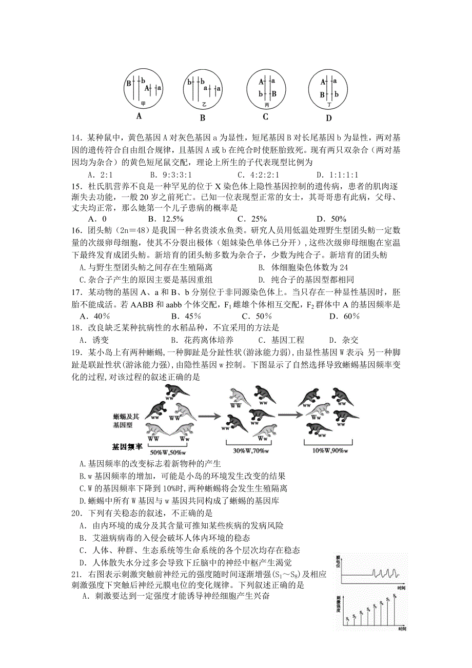 朝阳期末试题及答案_第4页