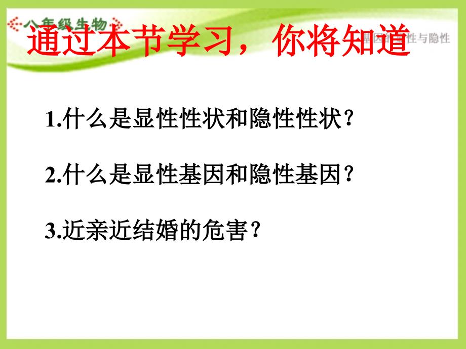 基因的显性和隐性ppt课件_第4页