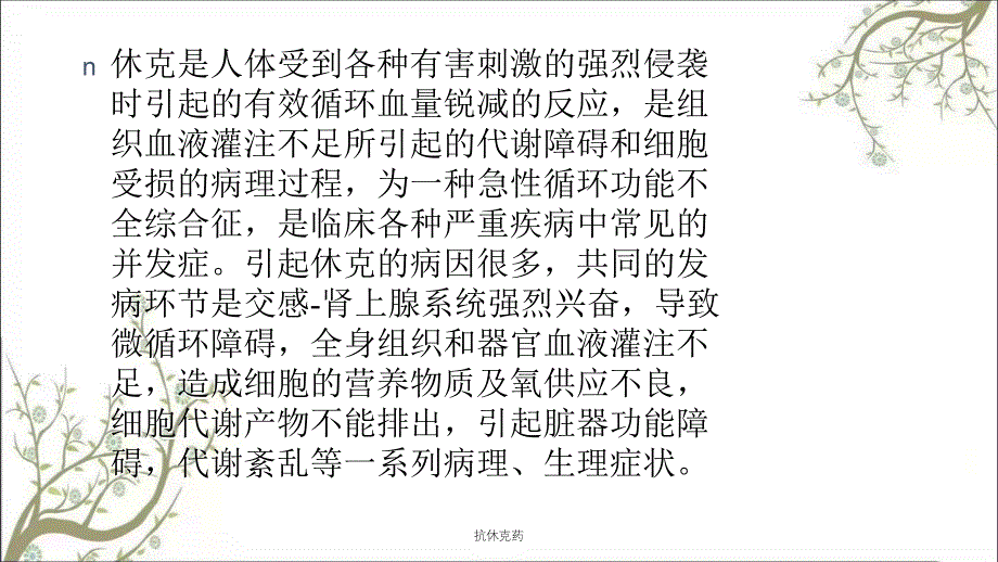 抗休克药课件_第2页