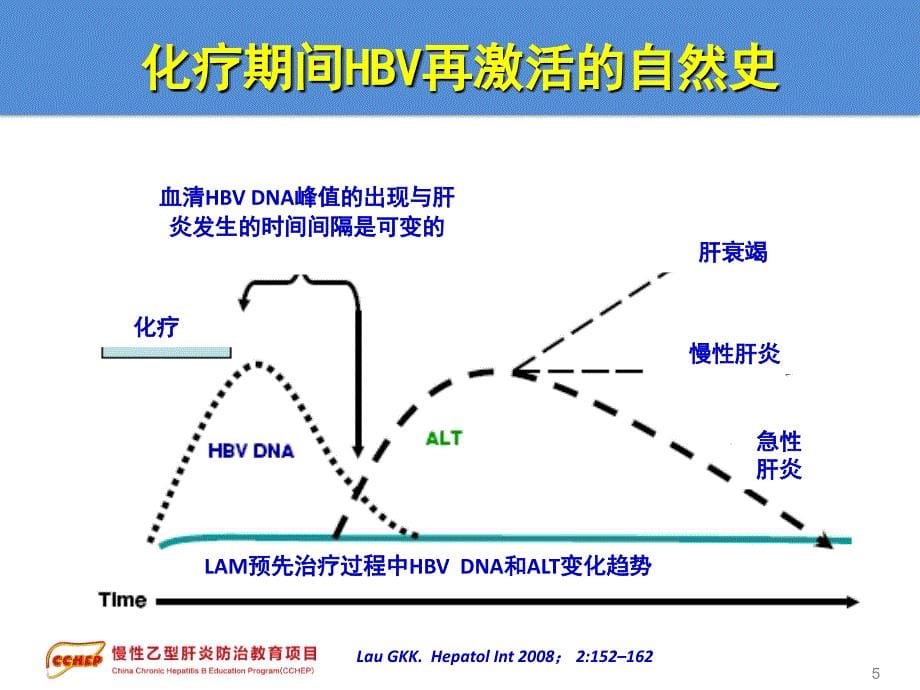 慢性乙型肝炎防治指南治疗部分2特殊情况的处理文档资料_第5页