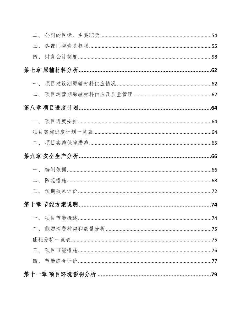 南通微型电机项目可行性研究报告_第3页