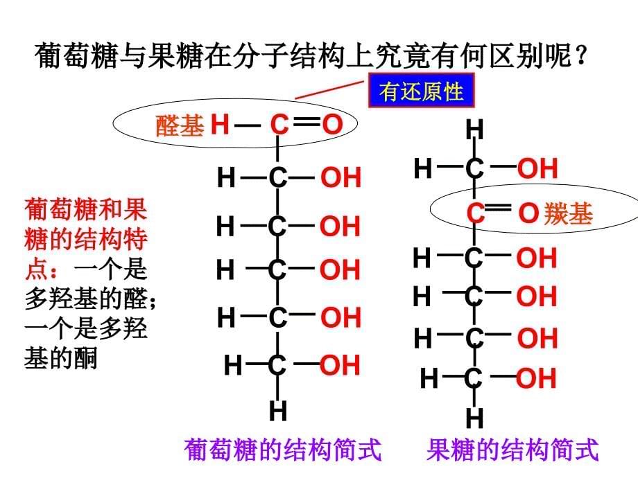 《基本营养物质》第一课时_第5页