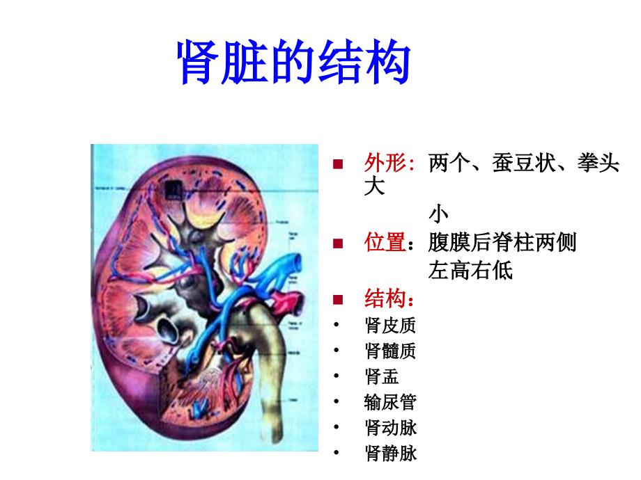 慢性肾衰竭PP课件_第3页