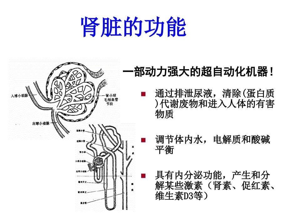 慢性肾衰竭PP课件_第5页