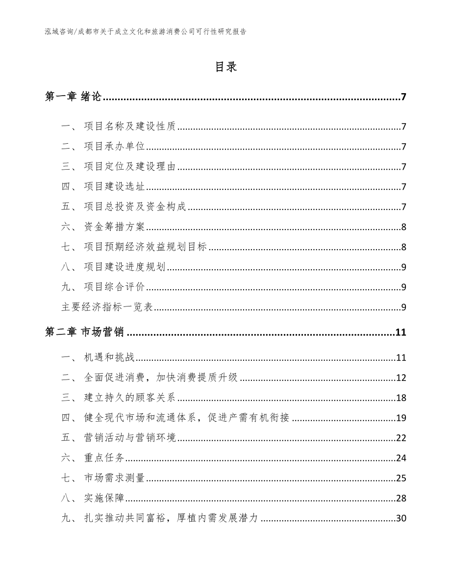 成都市关于成立文化和旅游消费公司可行性研究报告_第2页