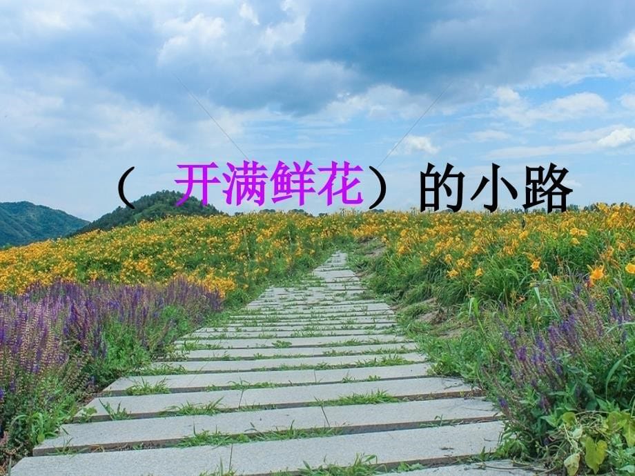 人教版部编版小学语文二年级下册-《开满鲜花的小路》第二课时课件-名师教学课件PPT_第5页