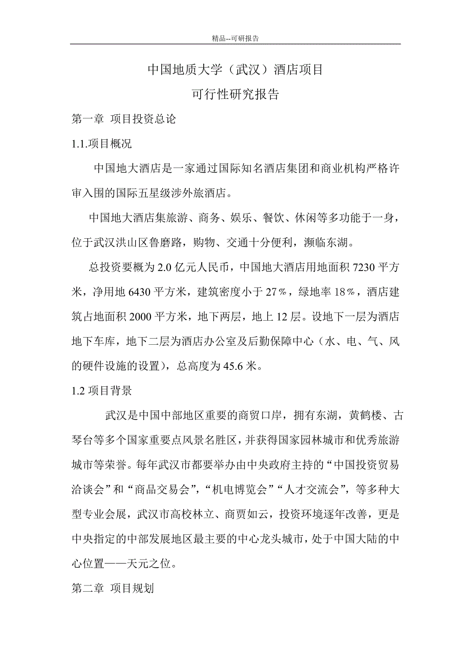 精品中国地质大学武汉酒店项目可行性研究报告优秀可研报告_第1页