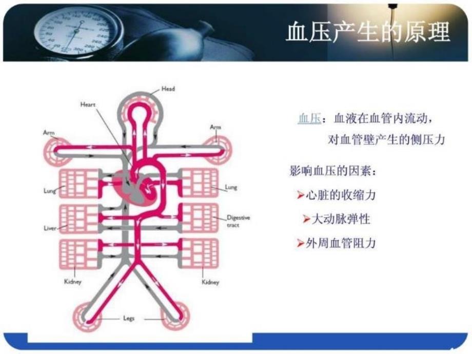 最新医药代表学术培训高血压医学基础PPT.ppt幻灯片_第4页