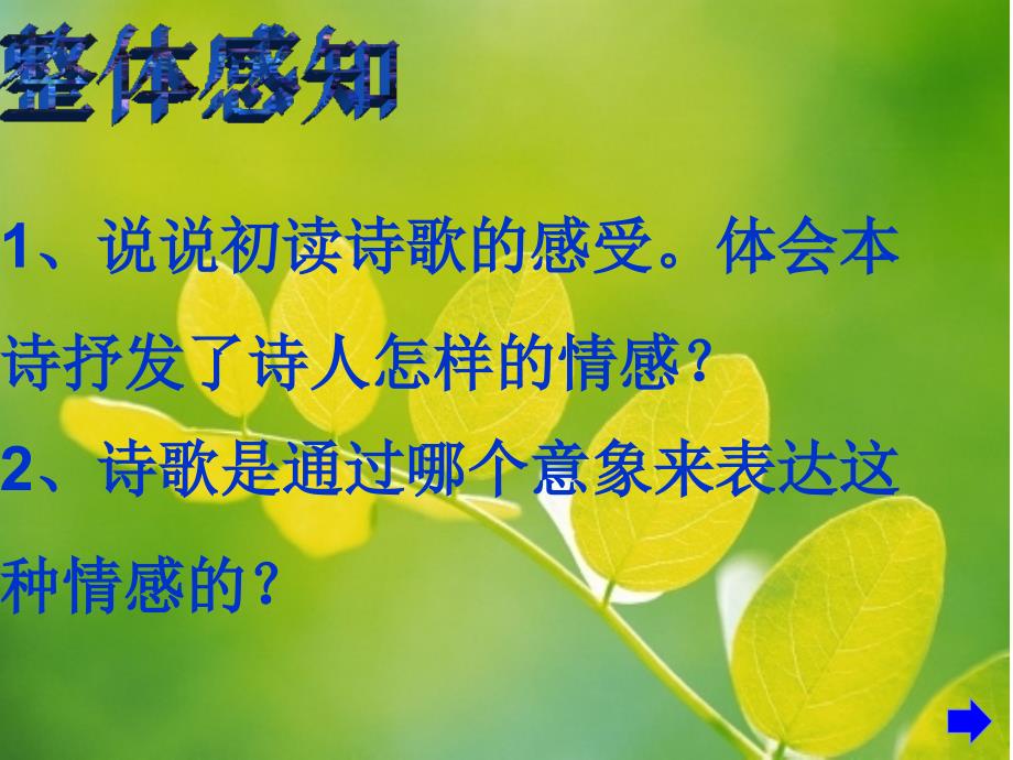 一片槐树叶 (2)_第4页