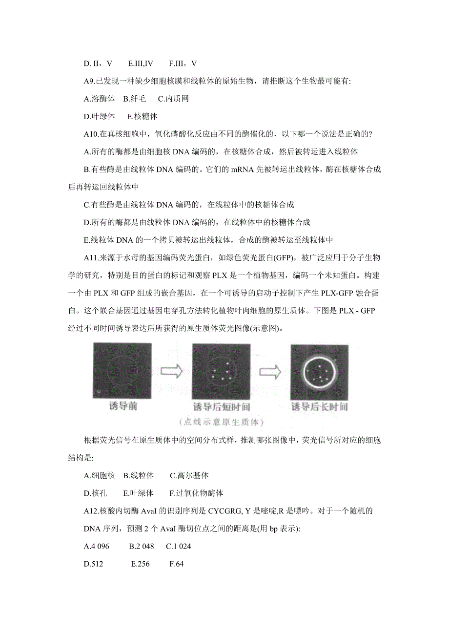 第20届国际生物奥林匹克竞赛试题(A)_第4页