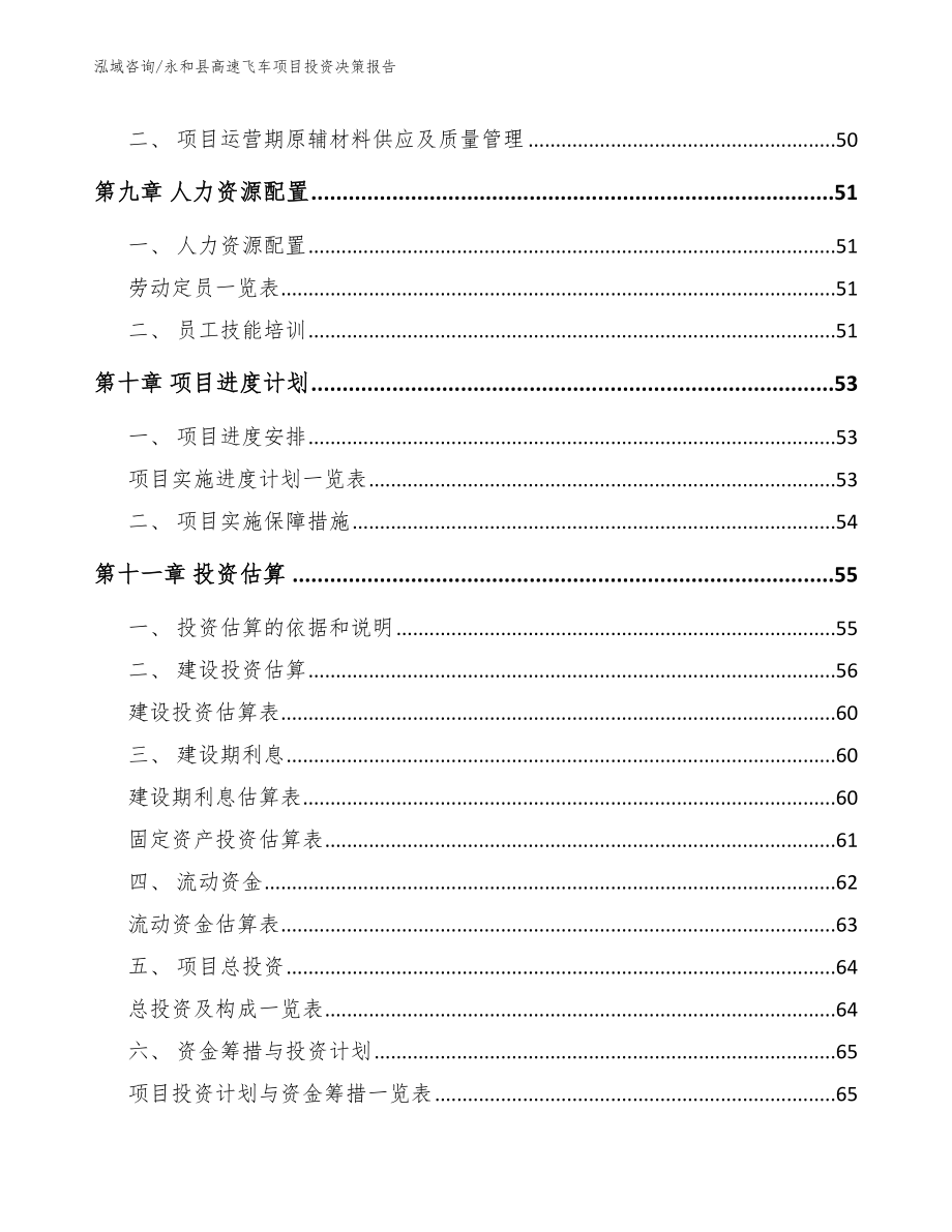 永和县高速飞车项目投资决策报告_模板范本_第3页