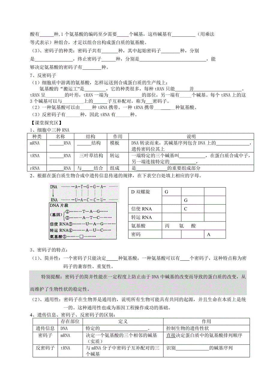 基因指导蛋白质的合成(学案)-1(1)_第3页