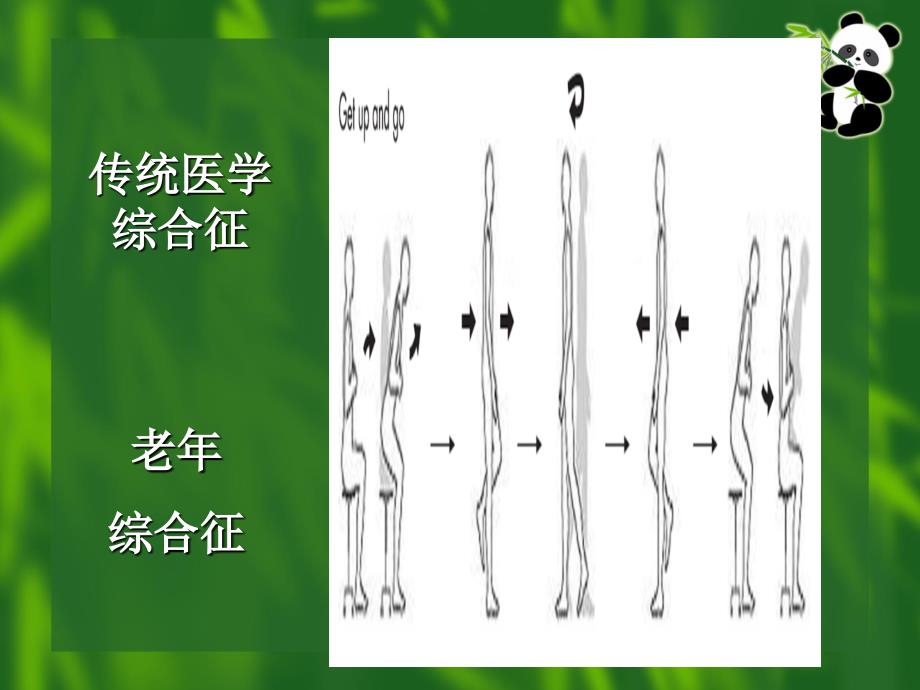 老年综合评估ppt_第3页