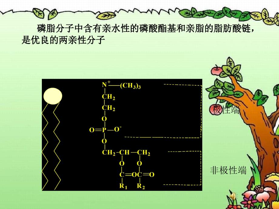 宏量金属及金属药物_第4页