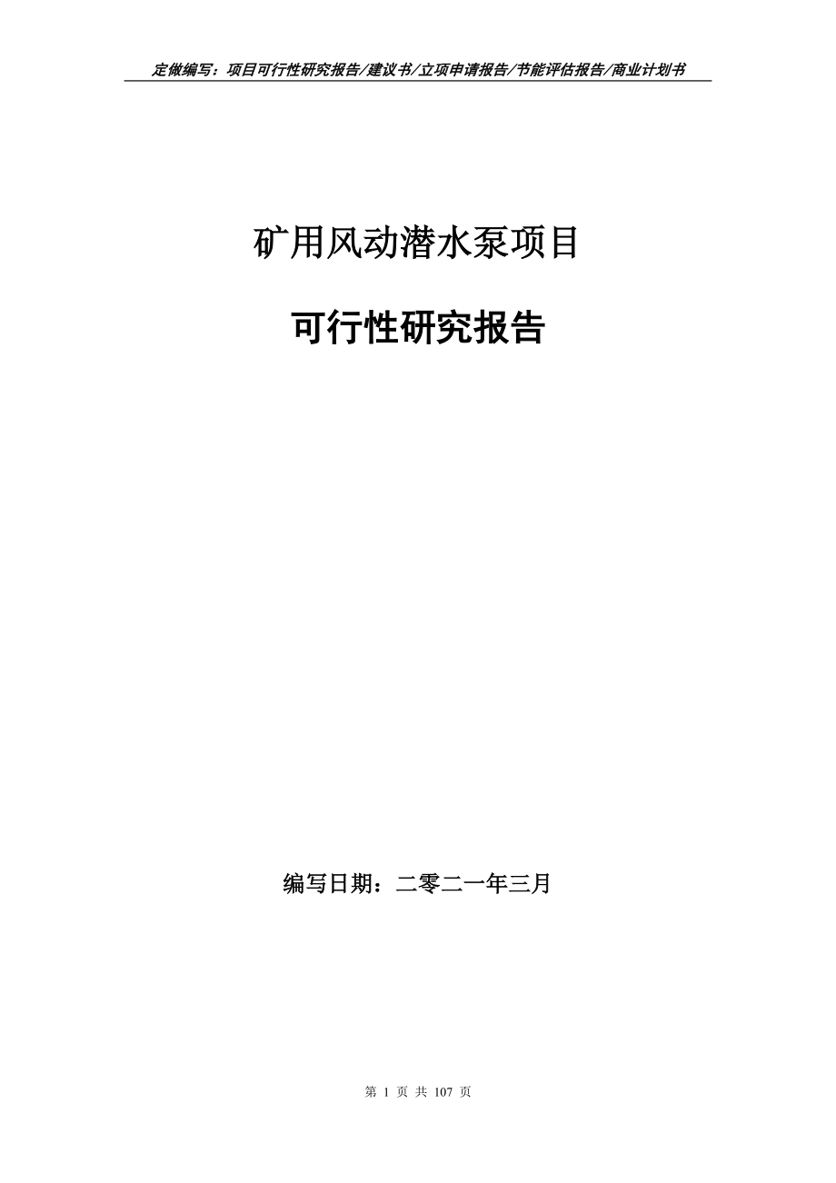 矿用风动潜水泵项目可行性研究报告写作范本_第1页