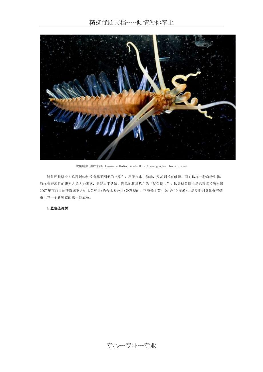 海洋不明生物大全之奇特的海洋生物_第3页