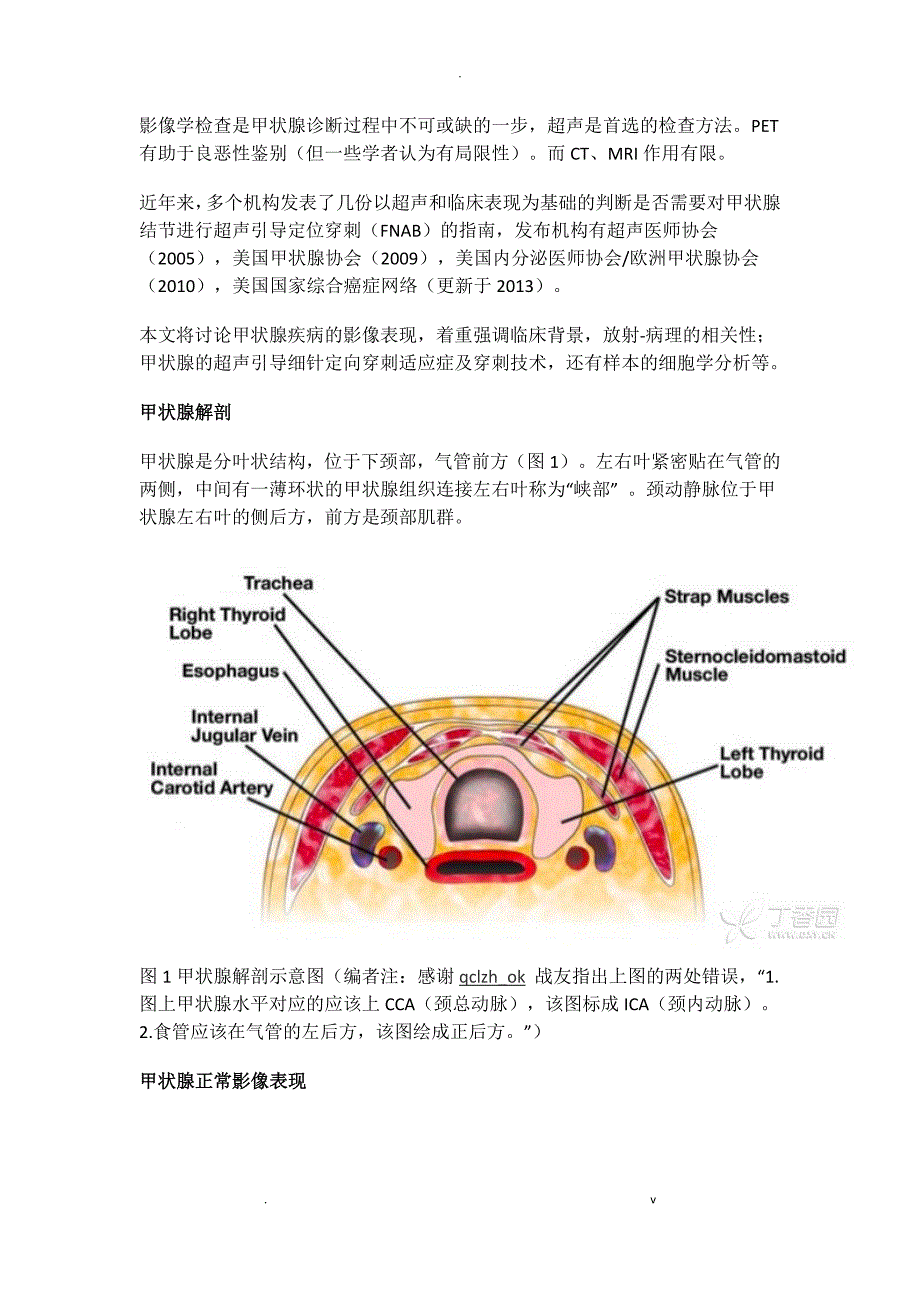 医考：甲状腺病变的影像病理诊断与细针穿刺技术_第1页