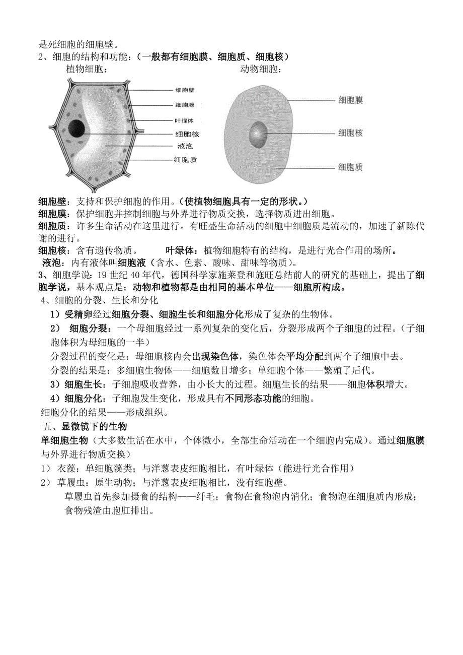 七年级上册科学复习提纲[共14页].doc_第5页