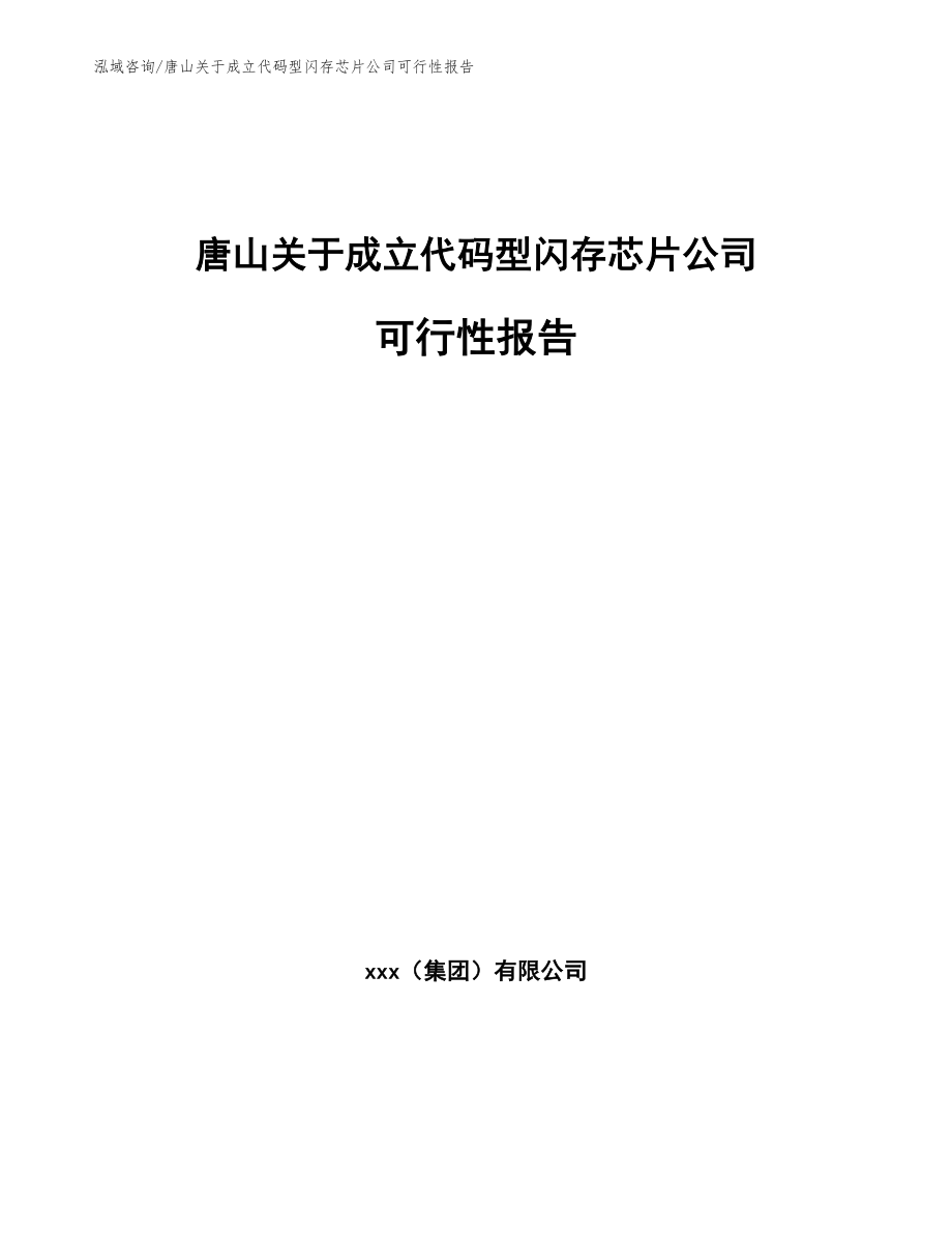 唐山关于成立代码型闪存芯片公司可行性报告_第1页