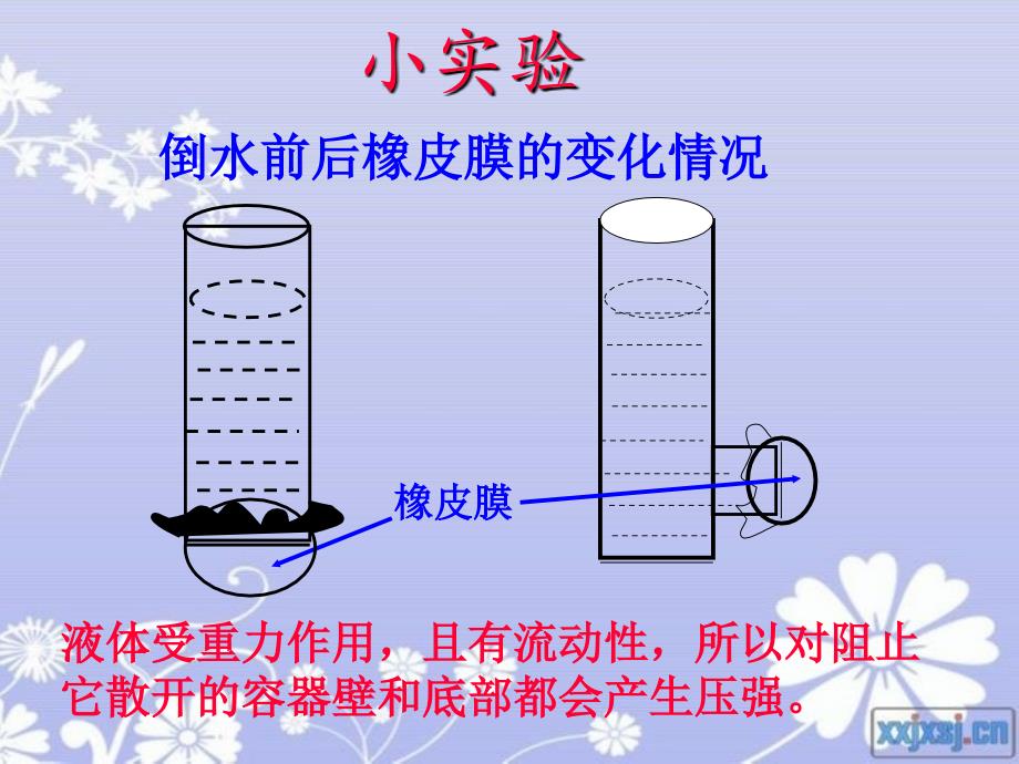 第二节液体内部的压强_第4页