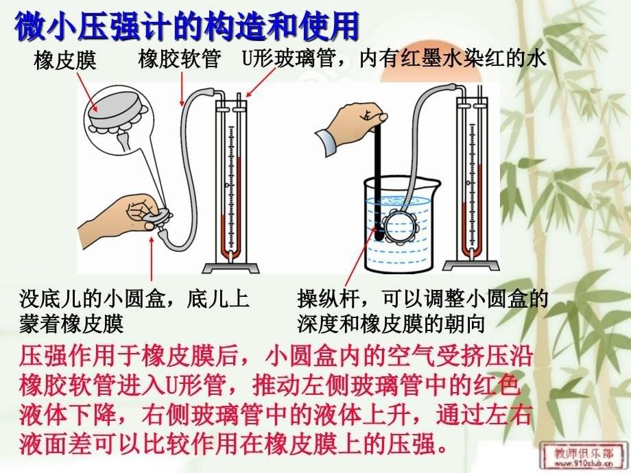 第二节液体内部的压强_第5页