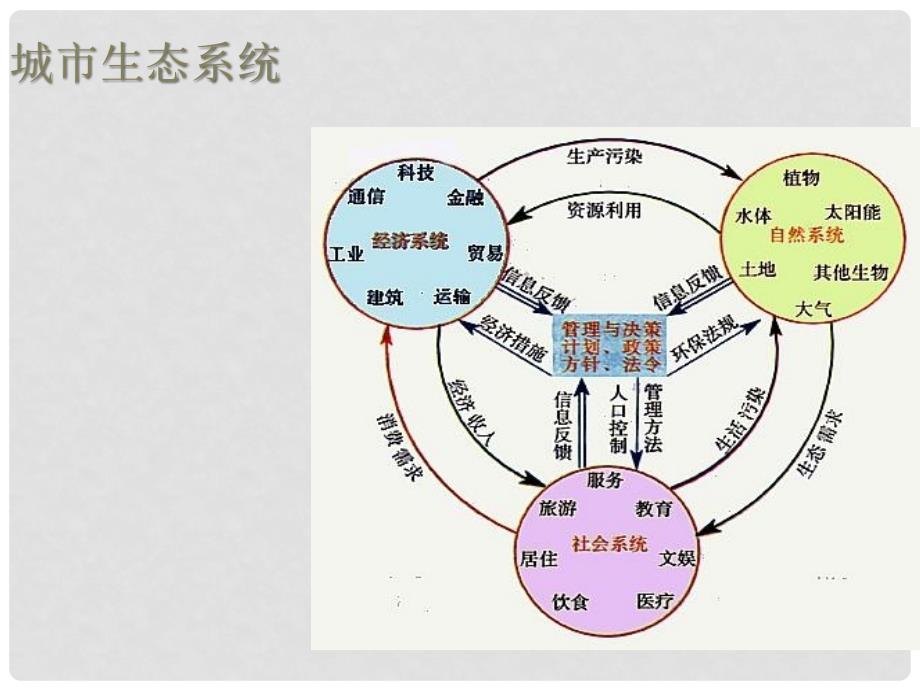 八年级生物下册 第24章 第三节 关注城市环境课件3 （新版）北师大版_第4页